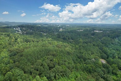 42-web-or-mls-DJI_0552