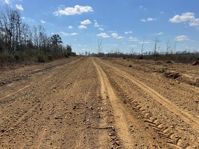 Road from Blazo through property
