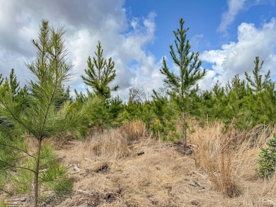 XX1 Worley Rd, Bonifay, FL 32425 - photo 6