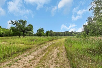 5118 County Road 85, Santiago Township, MN 55308 - photo 3