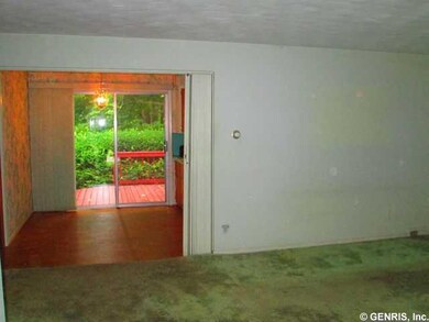 Backyard. Beautiful mature treed yard with ample o
