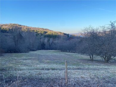 Clearing with apple trees on the lower end with la
