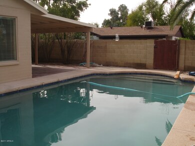 Pool and Back Patio
