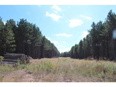 XXX Hay Creek Boulevard Blvd, Grantsburg, WI 54840 - photo 3