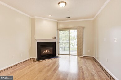 7420 Hindon Cir unit 201, Windsor Mill, MD 21244 - photo 4