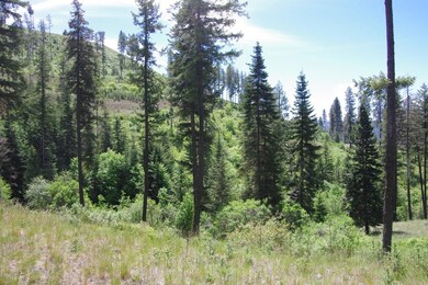 Lot 6 Blk1 Promontory, Harrison, ID 83833 - photo 4