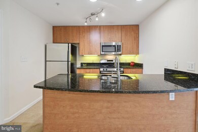 1136 Cove Rd unit 201, Annapolis, MD 21403 - photo 6