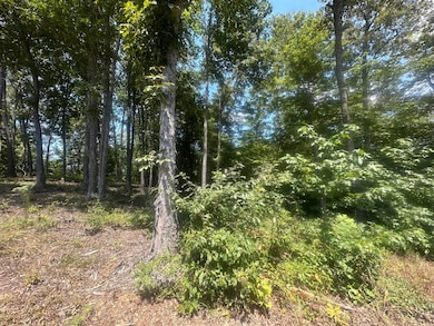 0 the Village of Dale Hollow unit 12, Burkesville, KY 42717 - photo 4