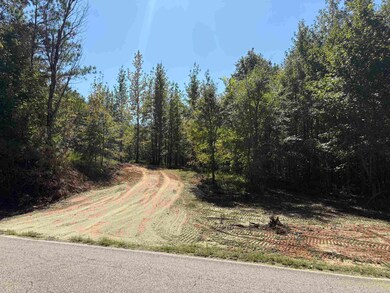 0 Bethuel Rd unit Lot 6, Unincorporated, TN 38053 - photo 2
