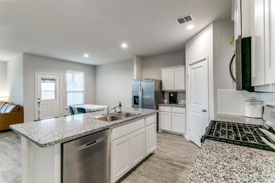 116 Birch Forest Ln, Boyd, TX 76023 - photo 7