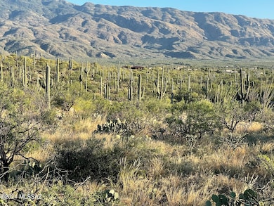 3051 N Placita de Nazca unit 1, Tucson, AZ 85749 - photo 4