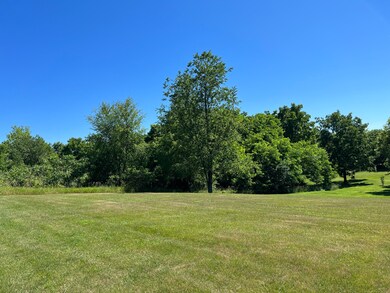 IMG_8640
