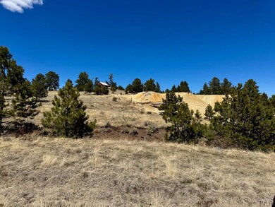 TBD Derigo Ln, Westcliffe, CO 81252 - photo 7