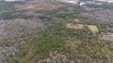 5001 NW Little Cat Rd, Madison, FL 32340 - photo 5