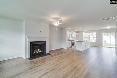 660 Clementine Run, Gilbert, SC 29054 - photo 4