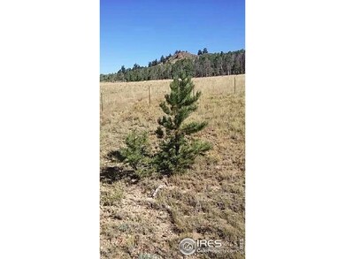 548 Opal Dr, Hartsel, CO 80449 - photo 5