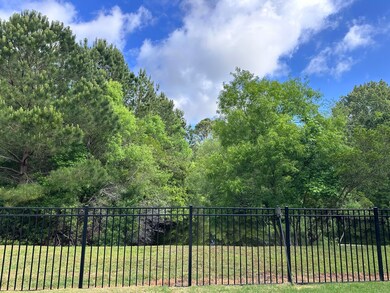 backyard view