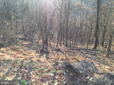 0 Rt 5 10 (Buffalo Hills Road), Franklin, WV 26807 - photo 7