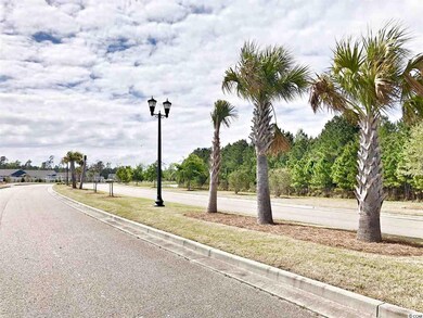 1056 Caprisia Loop unit Lot 136 - Georgetown, Myrtle Beach, SC 29579 - photo 2