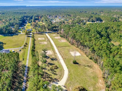 3021 Doar Creek Trail, Awendaw, SC 29429 - photo 3