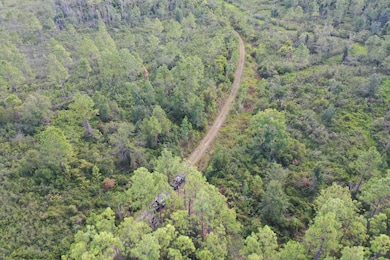 0 Bat Rd unit 16494875, Perry, FL 32347 - photo 6