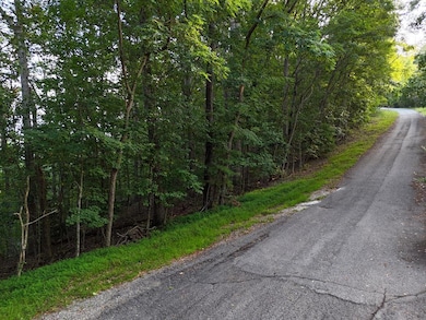 L 48C Byron St, Blairsville, GA 30512 - photo 4