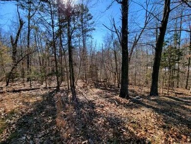 0 Cabot Cir unit 1209555, Bella Vista, AR 72714 - photo 3