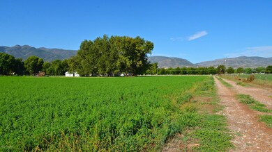 DSC_8673 - Version 2