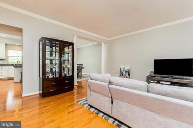 20325 Briarcliff Terrace, Sterling, VA 20165 - photo 6