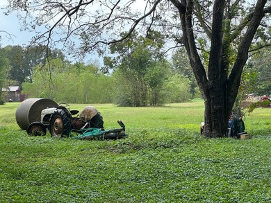 15010 Highway 36, Needville, TX 77461 - photo 6