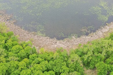 0 Tbd Ne Rock Lake Rd unit 24708708, Rochert, MN 56578 - photo 5