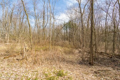 Onondaga_Rd_VACANT_BROCK-5