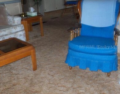 3851 Chah Dr, Zephyrhills, FL 33541 - photo 5