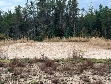 Newaygo 5