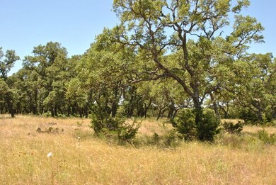 16 Sugar Creek Trail, Fredericksburg, TX 78624 - photo 4