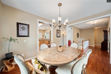 204 Shadow Ridge Ct, Lexington, SC 29072 - photo 6