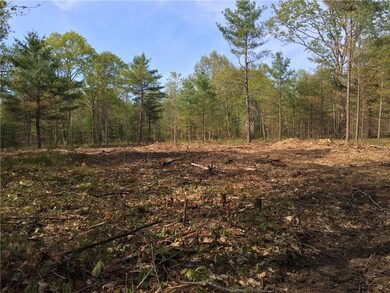 Trees surround the cleared building...