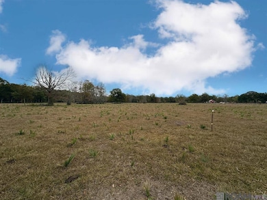 45538 Doc Ln, Saint Amant, LA 70774 - photo 3