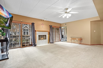 7825 Bristol Park Dr N unit 7825, Tinley Park, IL 60477 - photo 4