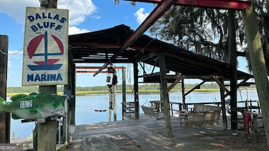 0 Pelican Perch Rd, Townsend, GA 31331 - photo 6