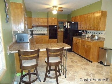 181 W Union St, Virginia, IL 62691 - photo 2