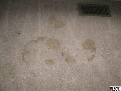 Carpet heavily stained