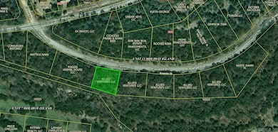 Lot 5 Arapahoe Dr, Holiday Island, AR 72631 - photo 2