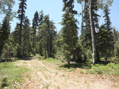 1045 W Big Horn Cir unit ZVME E-201, Duck Creek Village, UT 84762 - photo 3