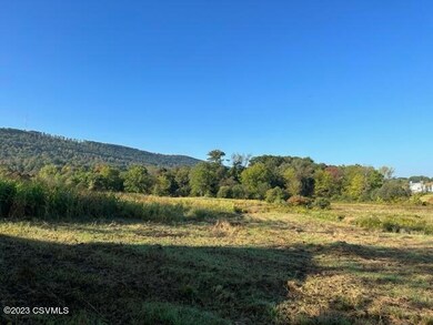 1042 Irish Valley Rd, Paxinos, PA 17860 - photo 2