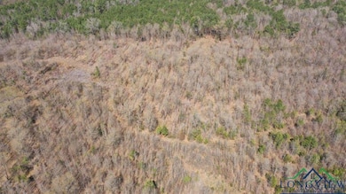 Aerial overview of property's location