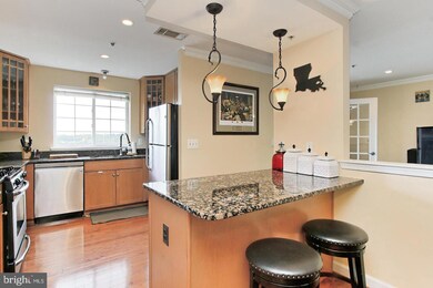 4121 S Four Mile Run Dr unit 403, Arlington, VA 22204 - photo 6