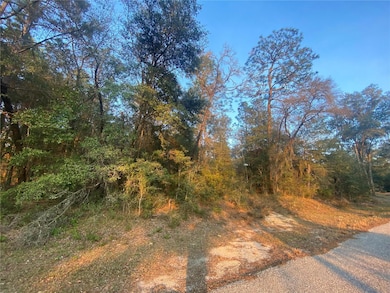 Lot 28 SW 206th Cir, Dunnellon, FL 34431 - photo 2