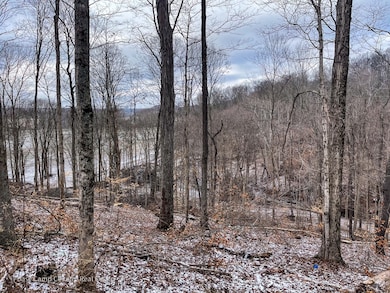 TBD Starr Rd, Jefferson Township, IN 47108 - photo 3