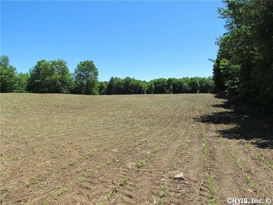 Land. Crop Land Off Road from Chase Lake Road